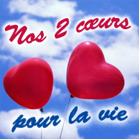Il ne faut pas contester.